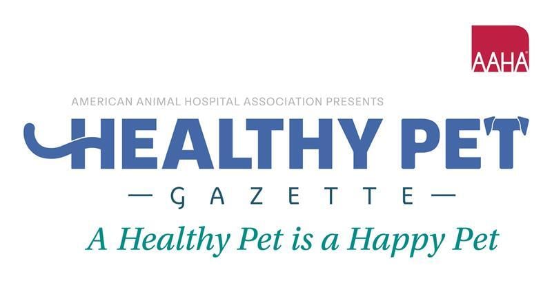 HealthyPetGazette_Header_650x360
