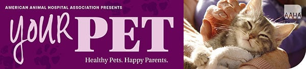 AAHA Your Pet Newsletter